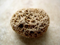 8,401,414 Stone Stock Photos - Free & Royalty-Free Stock Photos from Dreamstime - Page 33