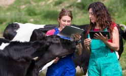 123,964 Veterinary Stock Photos - Free & Royalty-Free Stock Photos from Dreamstime - Page 9