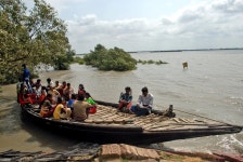 1,423 Sundarban Stock Photos - Free & Royalty-Free Stock Photos from Dreamstime - Page 3