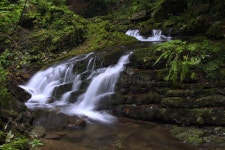High Mountain Stream in Forest Stock Photo - Image of peace, forest: 15468838 High Mountain Stream In Forest Stock Photo - Image... 