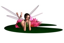 Lily Pad Stock Illustrations – 11,584 Lily Pad Stock Illustrations, Vectors & Clipart - Dreamstime