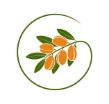 Argan Logo. Isolated Argan on White Background Stock Vector - Illustration of logo, delicious: 210139324
