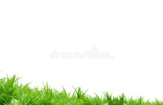 Bolder Stock Illustrations – 153 Bolder Stock Illustrations, Vectors & Clipart - Dreamstime