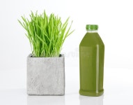 1,698 Green Wheatgrass Growing Stock Photos - Free & Royalty-Free Stock Photos from Dreamstime