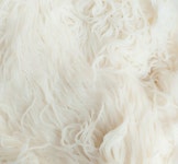 140,553 White Noodles Stock Photos - Free & Royalty-Free Stock Photos from Dreamstime