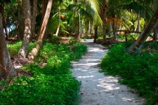 2,593,709 Path Stock Photos - Free & Royalty-Free Stock Photos from Dreamstime - Page 10
