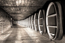 Barrels of wine stock image. Image of beverage, senior - 2426577