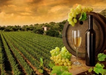 883,883 Glass Bottle Stock Photos - Free & Royalty-Free Stock Photos from Dreamstime