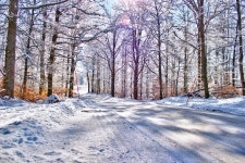 Collection of Nature Photos - Dreamstime ID:29600 Collection of Nature  Photos