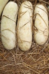 3,826 Winter Melon Stock Photos - Free & Royalty-Free Stock Photos from Dreamstime - Page 8