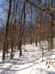 Winterpath Stock Photos - Free & Royalty-Free Stock Photos from Dreamstime