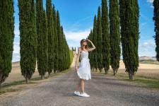 Cypress Trees rows stock photo. Image of italian, curve - 50484110