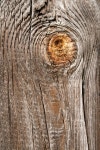 Wood stock image. Image of pattern, circle, aging, natural - 5891231