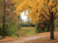 9,244 Path Wooded Stock Photos - Free & Royalty-Free Stock Photos from Dreamstime