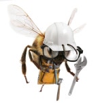 29,140 Worker Bee Stock Photos - Free & Royalty-Free Stock Photos from Dreamstime