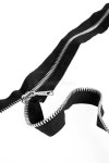 Zipper Picture. Image: 5058760