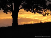 A New Adventure - Dreamstime