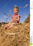 5,027 Hayrick Stock Photos - Free & Royalty-Free Stock Photos from Dreamstime