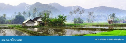 Bali stock photo. Image of harvest, food, land, garden - 18477684