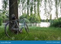 Bicycle in an Italian Garden Stock Image - Image of fitness, environment: 41119771