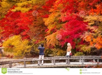 6,262 Hyogo Stock Photos - Free & Royalty-Free Stock Photos from Dreamstime - Page 16