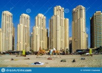 Dubai Skyline With Skyscrapers And Camels At The Beach Editorial Stock Photo - Image of industry, destination: 132769943