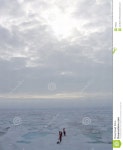 Expedition Royalty Free Stock Photo - Image: 700325 Expedition