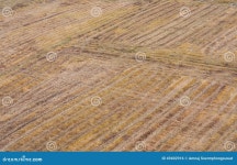 Field2 stock photo. Image of growth, yard, land, nature - 49402916