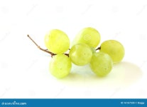 Grape stock photo. Image of isolated, beauty, berry, food - 16167530