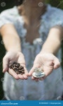 Hand Hold Small Cup of Coffee Stock Image - Image of vintage, garden: 59652681