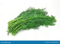 Healthy food. Dill stock photo. Image of green, closeup - 17361736