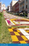 Infiorata of Genzano editorial image. Image of genzano - 25367205