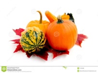 Mini pumpkins stock photo. Image of decor, colorful, september - 1224058