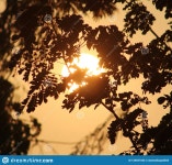 After noon stock image. Image of afternoon, teesun, noon - 129557443