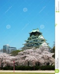 Osaka Castle With Sakura Royalty Free Stock Photo - Image: 16841175 Osaka Castle with Sakura