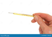 Thermometer in hand stock image. Image of people, interior - 19043407