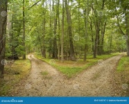 4,283 Woods Paths Stock Photos - Free & Royalty-Free Stock Photos from Dreamstime