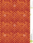 Two-tone Modular Snake Skin Texture Stock Illustration - Illustration of leather, decorate: 7166160