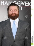 Zach Galifianakis editorial stock image. Image of premiere - 24305789