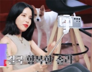 용시 - 솔라 카테고리