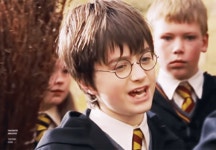 전체 게시판 - 마돌 해리 보고가