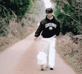 전체 게시판 - 아니 이짤보면 강아지 조련 진짜 잘해