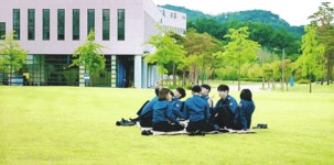 전체 게시판 - 8댕즈 청춘 그잡채