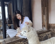 로사모닝🍊🧡 - 차이나 카테고리 로사모닝🍊🧡 - 차이나 카테고리