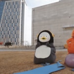 홈트만 했어여 - 펭수 카테고리