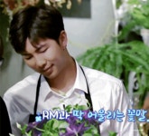 🌼🦮주니랑 꽃이랑🦮🌼 - RM 카테고리 &#x1f33c;&#x1f9ae;주니랑 꽃이랑&#x1f9ae;&#x1f33c; - RM 카테고리