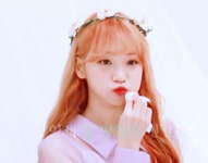 푸푸들 맛저하기전에 - 김채원 카테고리