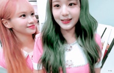 깨비깨비 - 김채원 카테고리
