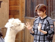 강다니엘 이번 활동 귀여움짤 엄선해봄 - 케이돌토크 카테고리