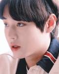 윙생샷 뽑아죠 - 박지훈 카테고리